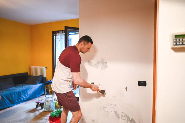 Best Mold Remediation for Schools in Halsey, OR